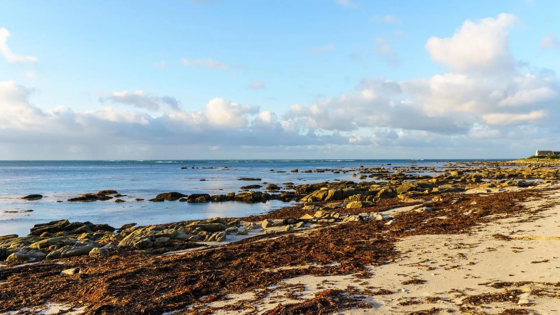 Maison Face A L'Ocean Avec Vue Mer A Penmarc'H